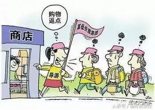 3·15，你我在行动 品质旅游，从导游服务开始